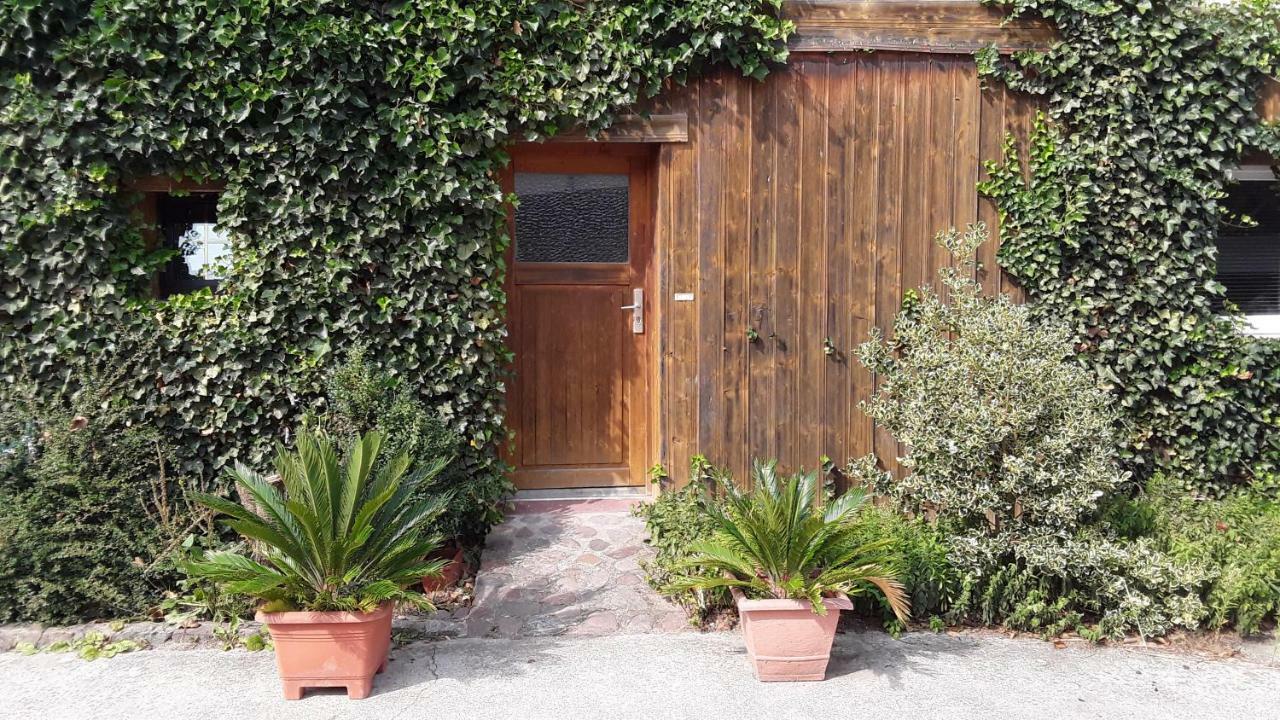 Gaestezimmer Sommer Locktow 外观 照片