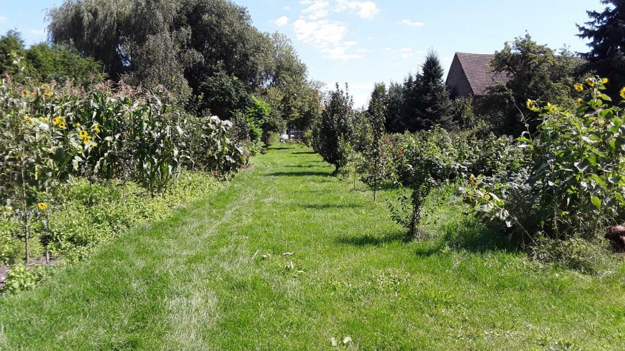 Gaestezimmer Sommer Locktow 外观 照片